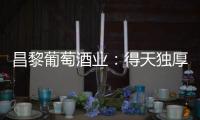 昌黎葡萄酒業(yè)：得天獨厚，挑戰(zhàn)不斷