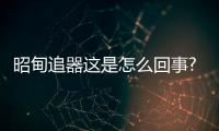 昭甸追器這是怎么回事?