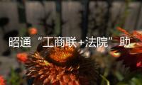 昭通“工商聯+法院”助力優化營商環境
