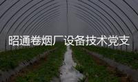昭通卷煙廠設(shè)備技術(shù)黨支部開展主題黨日活動