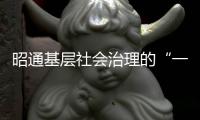 昭通基層社會(huì)治理的“一線力量”