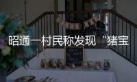 昭通一村民稱發現“豬寶”，網傳每克20000元，緊急求證！