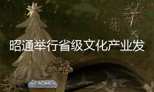 昭通舉行省級文化產業發展專項資金扶持項目評審會