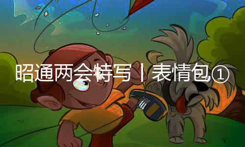 昭通兩會特寫丨表情包①