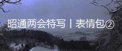 昭通兩會特寫丨表情包②