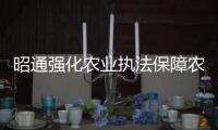 昭通強化農業執法保障農資產品安全，附典型案例