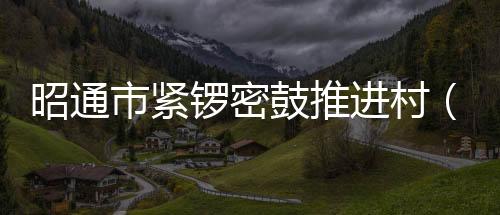 昭通市緊鑼密鼓推進(jìn)村（社區(qū)）“兩委”換屆工作