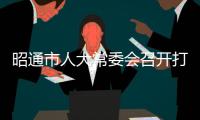 昭通市人大常委會召開打擊刑事犯罪工作座談會