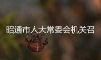 昭通市人大常委會機(jī)關(guān)召開 “不忘初心、牢記使命”主題教育總結(jié)大會