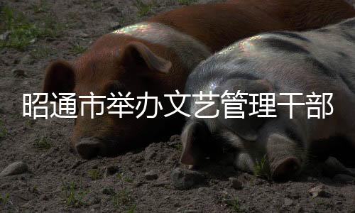 昭通市舉辦文藝管理干部和文藝業務骨干培訓班