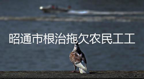 昭通市根治拖欠農(nóng)民工工資勞動監(jiān)察微信小程序來啦！