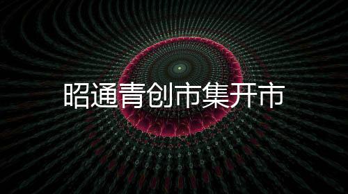 昭通青創市集開市