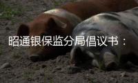 昭通銀保監分局倡議書：以優質快捷高效的網絡金融服務支持疫情防控