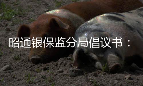 昭通銀保監(jiān)分局倡議書：以優(yōu)質(zhì)快捷高效的網(wǎng)絡(luò)金融服務(wù)支持疫情防控