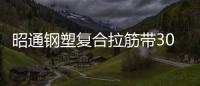 昭通鋼塑復合拉筋帶30020B施工方案