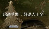 昭通蘋果 ，好誘人！全國百家新零售渠道產(chǎn)銷對接專場（組圖）