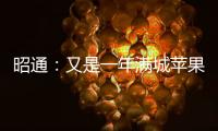 昭通：又是一年滿城蘋果香