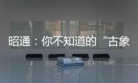 昭通：你不知道的“古象之邦”！