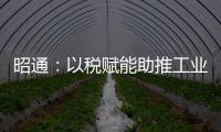 昭通：以稅賦能助推工業經濟蓬勃發展