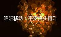 昭陽移動：平安探頭再升級，AI看護助力智慧平安鄉村建設