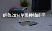 昭魯28名蘋果種植能手 競賽苗木嫁接術