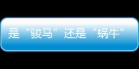 是“駿馬”還是“蝸牛” 鄂州重點項目建設比拼出實效