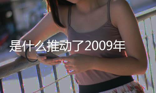 是什么推動了2009年的化工經濟？