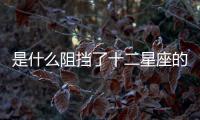 是什么阻擋了十二星座的桃花？