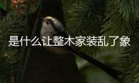 是什么讓整木家裝亂了象?