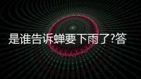 是誰告訴蟬要下雨了?答案（是誰告訴蟬要下雨了）
