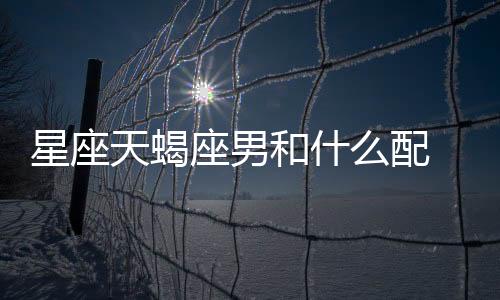 星座天蝎座男和什么配 星座天蝎座男和什么配對