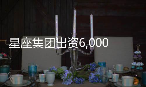 星座集團(tuán)出資6,000萬(wàn)美元收購(gòu)沙德酒莊