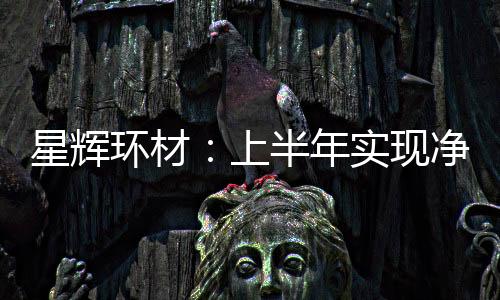 星輝環材：上半年實現凈利潤3017.28萬元深耕聚苯乙烯行業持續推進研發創新