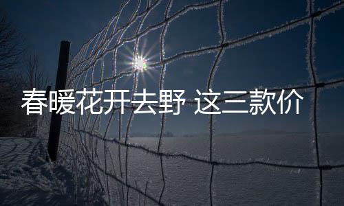 春暖花開去野 這三款價位越野車哪個滿足你