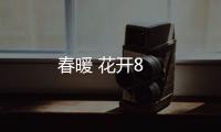春暖 花開8