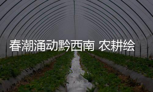 春潮涌動黔西南 農(nóng)耕繪就新畫卷