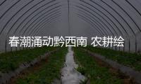 春潮涌動黔西南 農耕繪就新畫卷