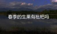 春季的生果有枇杷嗎