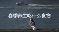 春季養生吃什么食物