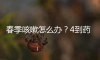 春季咳嗽怎么辦？4到藥膳止咳好