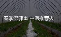 春季濕邪重 中醫推薦拔罐祛濕療法