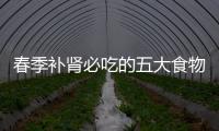 春季補腎必吃的五大食物
