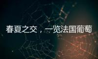 春夏之交，一覽法國葡萄酒市場風起云涌