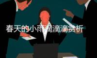 春天的小雨滴滴滴賞析 春天的小雨滴滴滴散文鑒賞