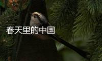 春天里的中國 河南 8500萬畝小麥正值拔節期