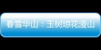 春雪華山：玉樹瓊花漫山間 流云飛渡美如畫