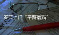 春節上門“帶薪擼貓”，日入過千？