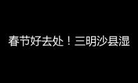 春節好去處！三明沙縣濕地公園10畝郁金香含苞待放