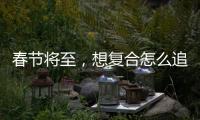 春節將至，想復合怎么追求最合適?