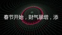 春節開始，財氣暴增，添喜添福，事業大豐收的三生肖